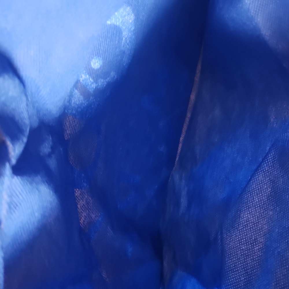 Blue PBS 39bDrawstring Backpack, EUC - Picture 3 of 3